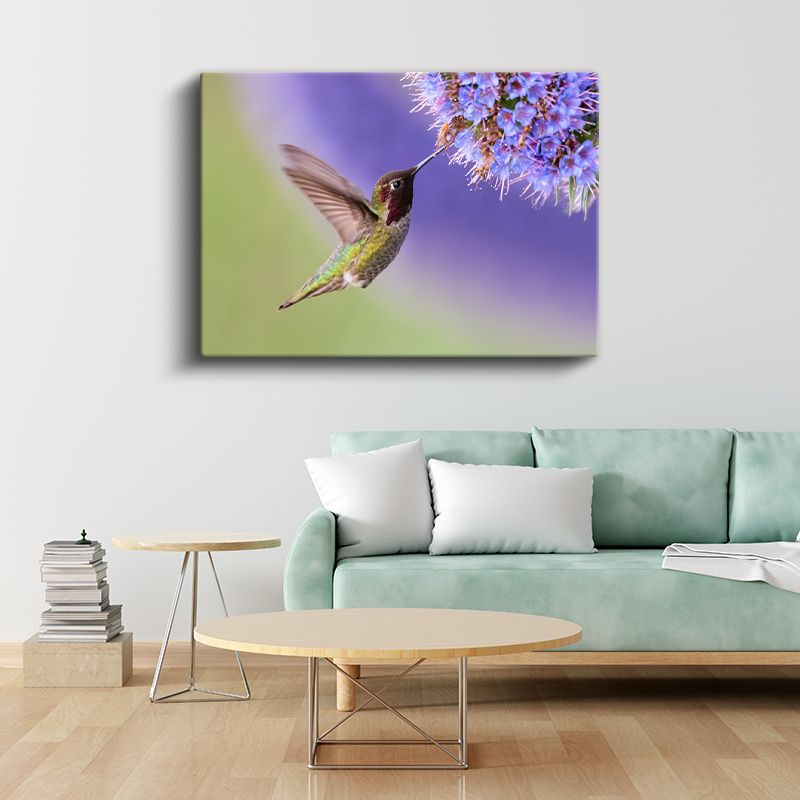 Sinek Kuşu - Nektar Avcısının Kanat Çırpışı Kanvas Tablo