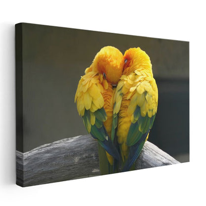 Sarı Papağanlar - Sevgi Dolu İkilinin Sıcaklığı Kanvas Tablo