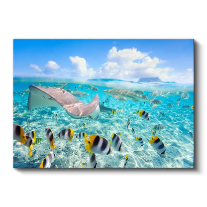 Vatoz Yolculuğu - Turkuaz Sularda Süzülüş Kanvas Tablo