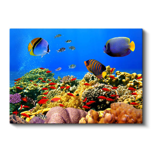 Mercan Cenneti - Renkli Balıkların Dansı Kanvas Tablo