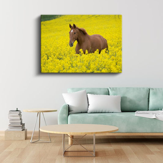 Çiçek Tarlasında At - Sarı Güzellikler Arasında Kanvas Tablo