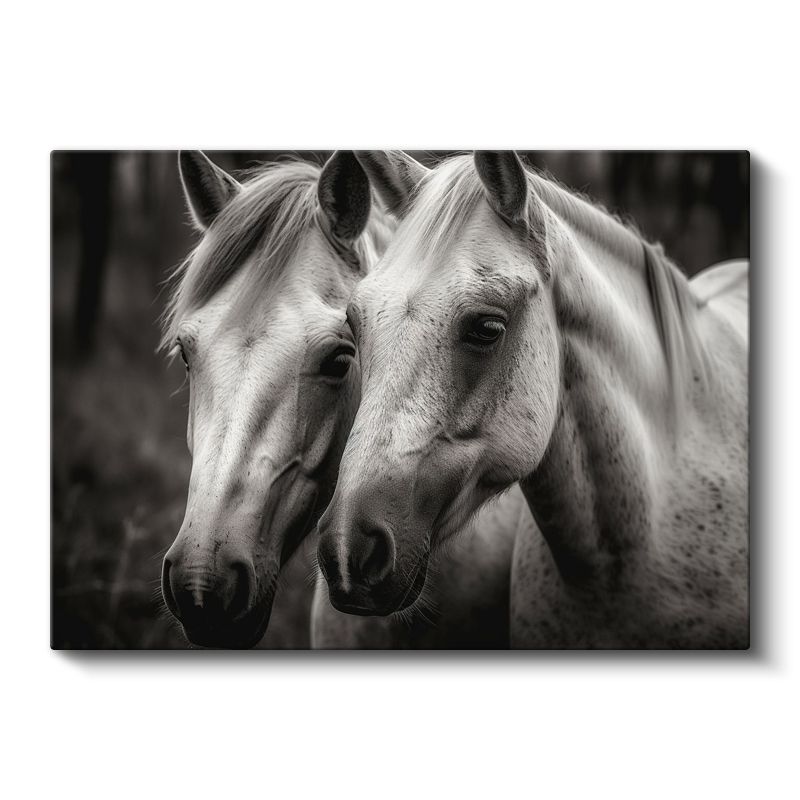 Beyaz Atlar - Siyah Beyaz Dünyada İki Dost Kanvas Tablo