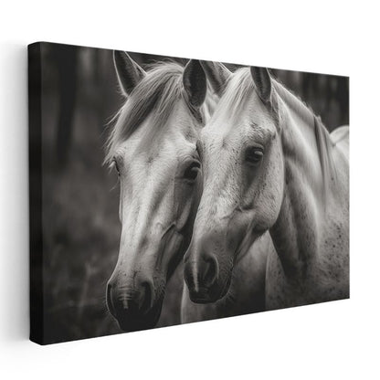 Beyaz Atlar - Siyah Beyaz Dünyada İki Dost Kanvas Tablo