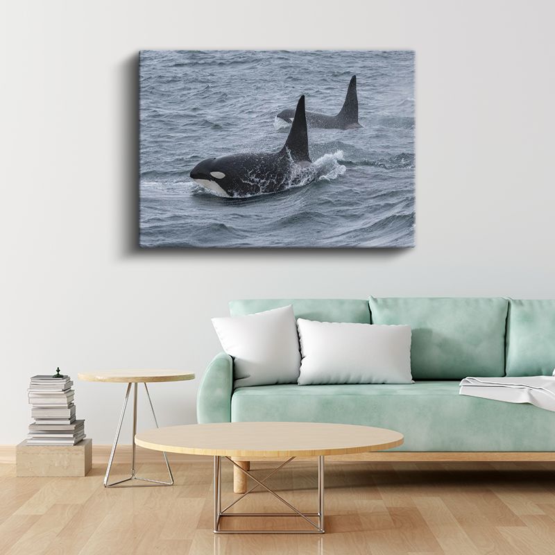 Katil Balinalar - Derin Sularda Yüzen İkili Kanvas Tablo