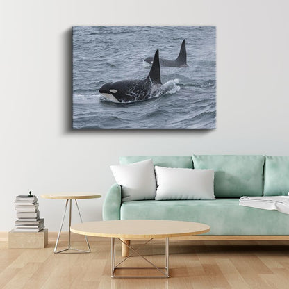 Katil Balinalar - Derin Sularda Yüzen İkili Kanvas Tablo