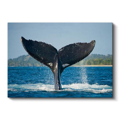 Balina Kuyruğu - Mavi Sularda Zarif Dalış Kanvas Tablo