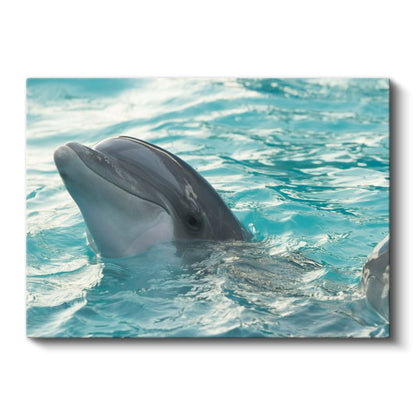 Yunus Portresi - Mavi Sulardaki Gülümseme Kanvas Tablo