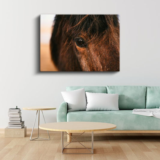 Atın Gözü - Kahverengi Güzelliğin Derinliği Kanvas Tablo