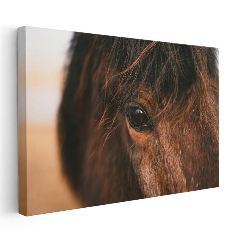 Atın Gözü - Kahverengi Güzelliğin Derinliği Kanvas Tablo