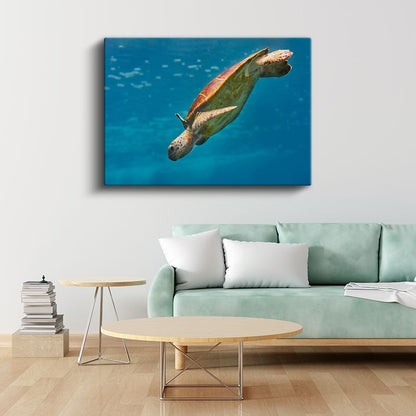 Deniz Kaplumbağası - Mavi Derinliklerde Süzülüş Kanvas Tablo