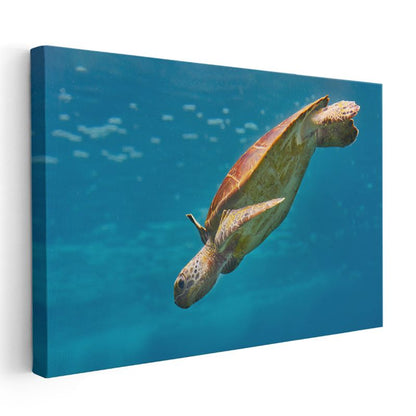 Deniz Kaplumbağası - Mavi Derinliklerde Süzülüş Kanvas Tablo