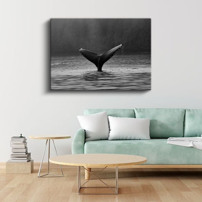 Balina Kuyruğu - Siyah Beyaz Sularda Zarafet Kanvas Tablo