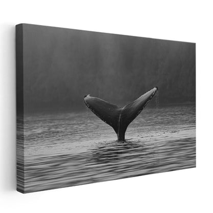 Balina Kuyruğu - Siyah Beyaz Sularda Zarafet Kanvas Tablo