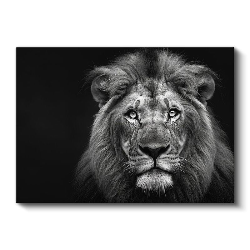 Aslan Portresi - Siyah Beyaz Heybetli Bakış Kanvas Tablo