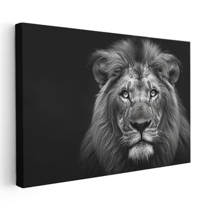 Aslan Portresi - Siyah Beyaz Heybetli Bakış Kanvas Tablo