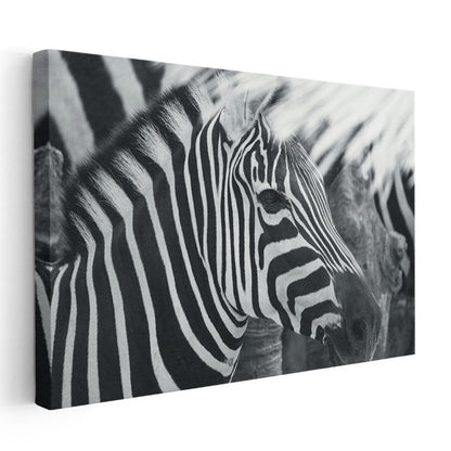 Zebra Deseni - Çizgilerin Mükemmel Uyumu Kanvas Tablo