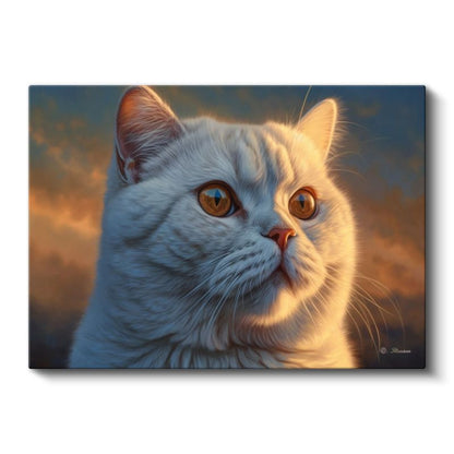 Beyaz Kedi - Akşam Işığında Huzurlu Bakış Kanvas Tablo