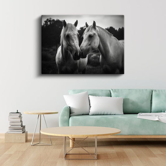 Beyaz Atlar - Dostluğun Zarif Buluşması Kanvas Tablo