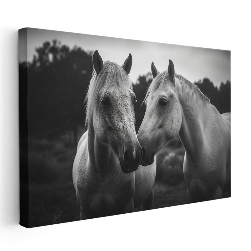 Beyaz Atlar - Dostluğun Zarif Buluşması Kanvas Tablo