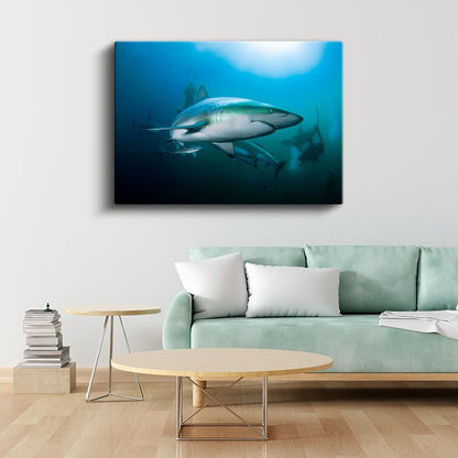 Köpekbalığı - Mavi Derinliklerin Avcısı Kanvas Tablo