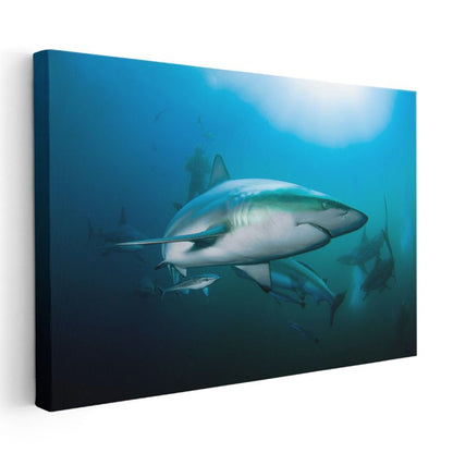 Köpekbalığı - Mavi Derinliklerin Avcısı Kanvas Tablo