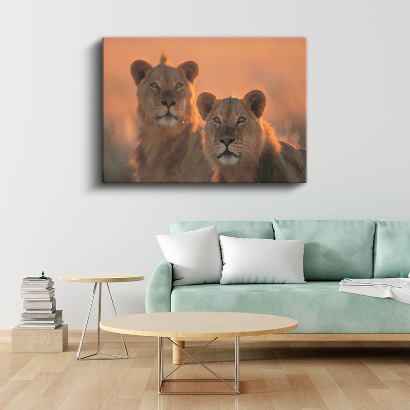 Aslan Çifti - Gün Batımında İki Kral Kanvas Tablo
