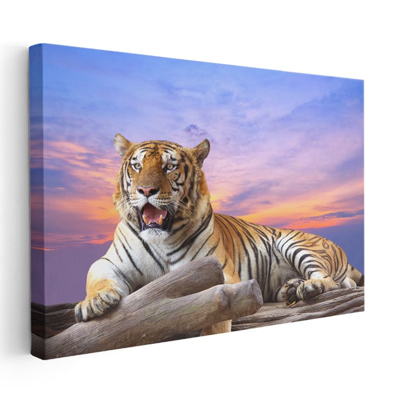 Dinlenen Kaplan - Gözleri Parlayan Çizgili Güzellik Kanvas Tablo