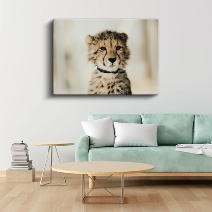 Çita Yavrusu - Masum Bakışların Derinliği Kanvas Tablo