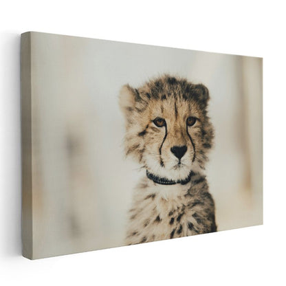 Çita Yavrusu - Masum Bakışların Derinliği Kanvas Tablo