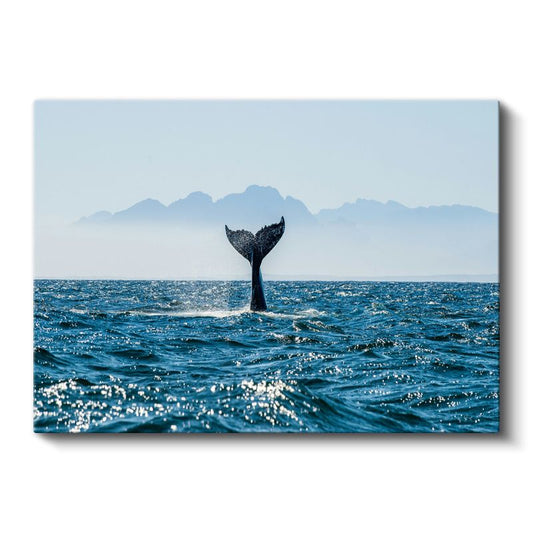 Balina Kuyruğu - Mavi Sularda Yükselen Zarafet Kanvas Tablo