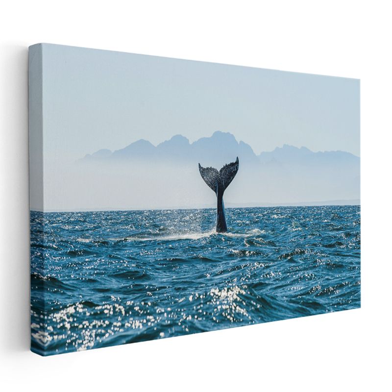 Balina Kuyruğu - Mavi Sularda Yükselen Zarafet Kanvas Tablo