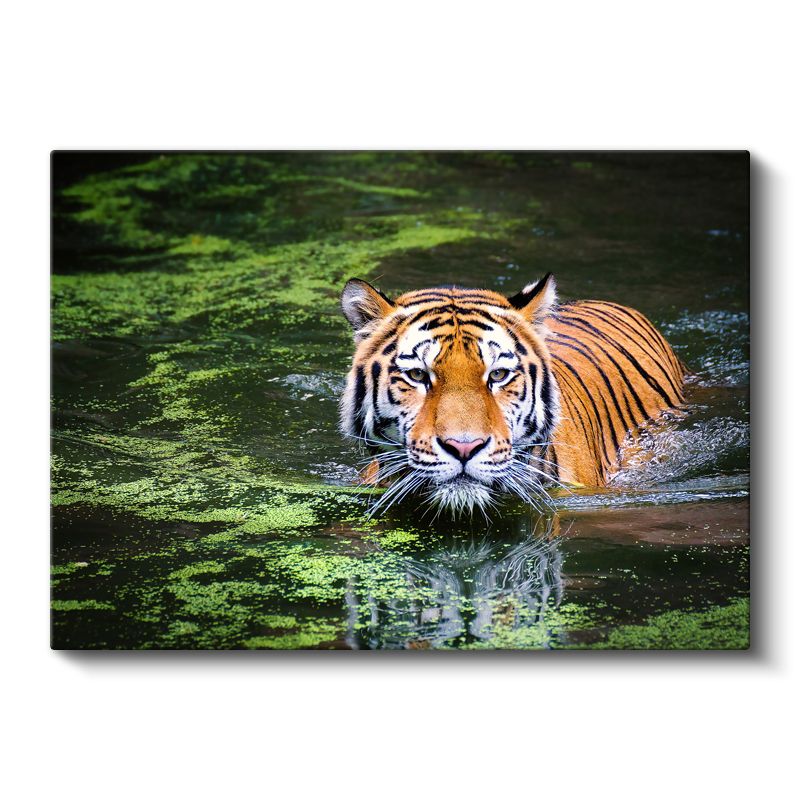 Suda Kaplan - Yeşil Yansımalar Arasında Avcı Kanvas Tablo