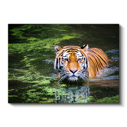 Suda Kaplan - Yeşil Yansımalar Arasında Avcı Kanvas Tablo