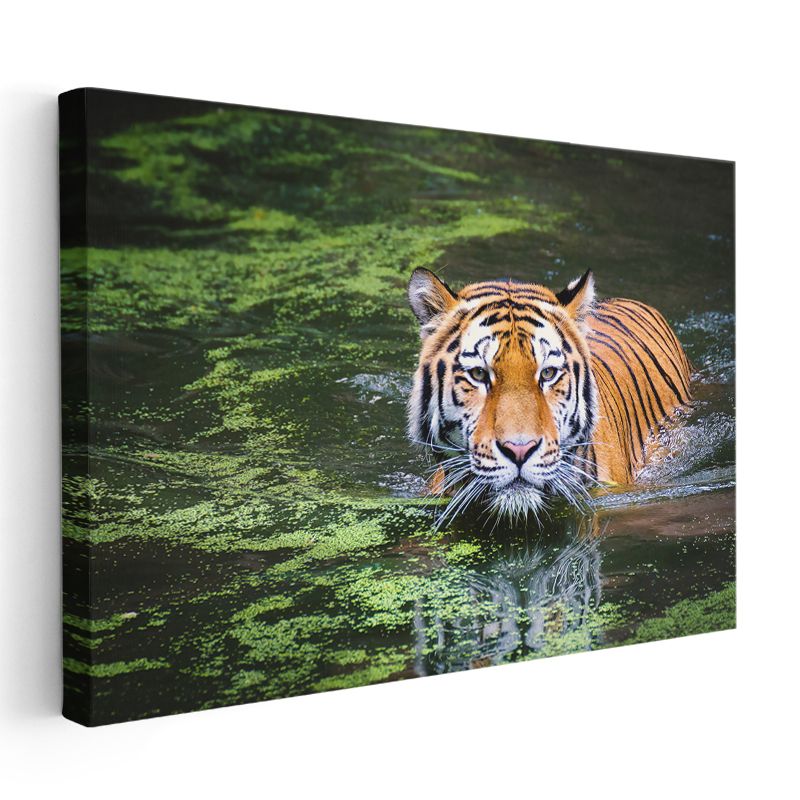 Suda Kaplan - Yeşil Yansımalar Arasında Avcı Kanvas Tablo