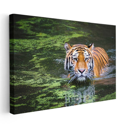 Suda Kaplan - Yeşil Yansımalar Arasında Avcı Kanvas Tablo