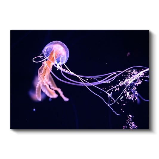 Mor Denizanası - Karanlık Sularda Parlayan Işık Kanvas Tablo