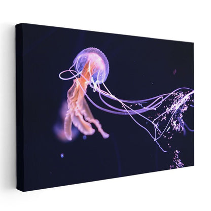 Mor Denizanası - Karanlık Sularda Parlayan Işık Kanvas Tablo