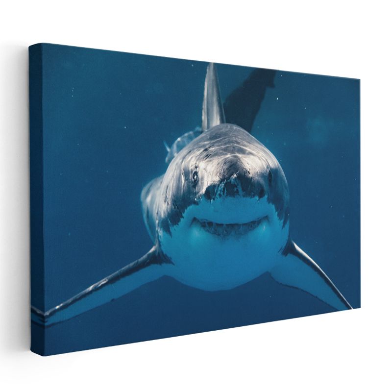 Büyük Beyaz Köpekbalığı - Mavi Derinliklerin Avcısı Kanvas Tablo