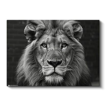 Aslan Portresi - Siyah Beyaz Asaletin Yüzü Kanvas Tablo