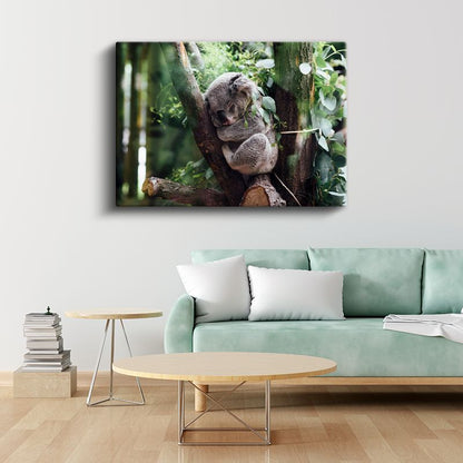 Uyuyan Koala - Ağaç Dalında Huzurlu Anlar Kanvas Tablo