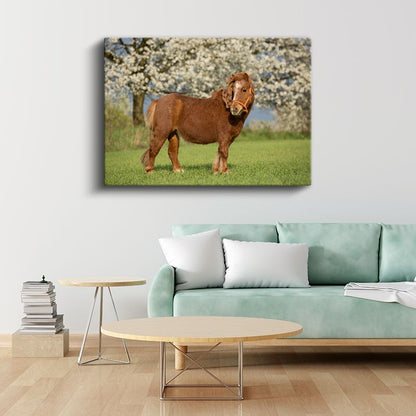 Midilli At - Çiçekli Baharda Asil Duruş Kanvas Tablo