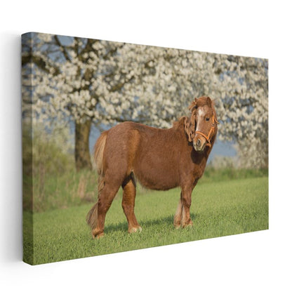 Midilli At - Çiçekli Baharda Asil Duruş Kanvas Tablo