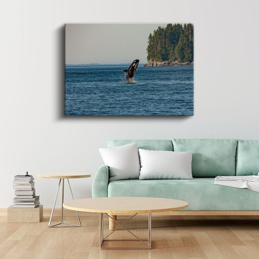 Sıçrayan Orca - Mavi Sularda Özgürlük Anı Kanvas Tablo