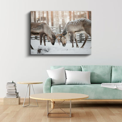 Ren Geyikleri - Karlı Zeminde Güç Gösterisi Kanvas Tablo