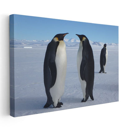İmparator Penguenler - Kutup Buluşması Kanvas Tablo