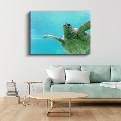 Deniz Kaplumbağası - Turkuaz Suda Zarif Yüzüş Kanvas Tablo
