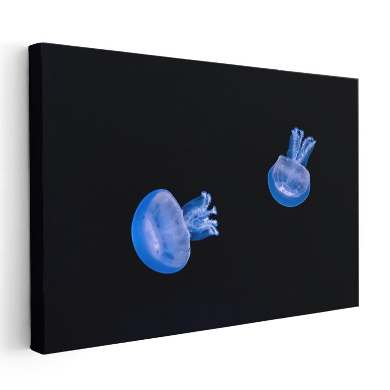 Mavi Denizanaları - Derin Karanlıkta Dans Eden İkili Kanvas Tablo
