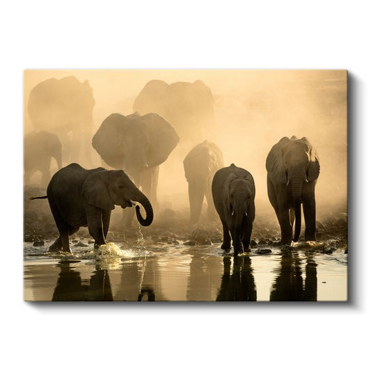 Fil Sürüsü - Sisli Sularda Yürüyüş Kanvas Tablo