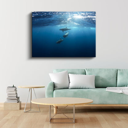 Derin Mavilik - Güneş Işığında Yüzen Yunuslar Kanvas Tablo