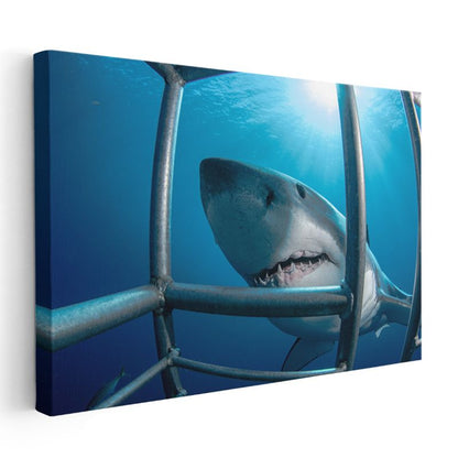Kafes Arkasında Köpekbalığı - Yakın Çekim Yüz Kanvas Tablo